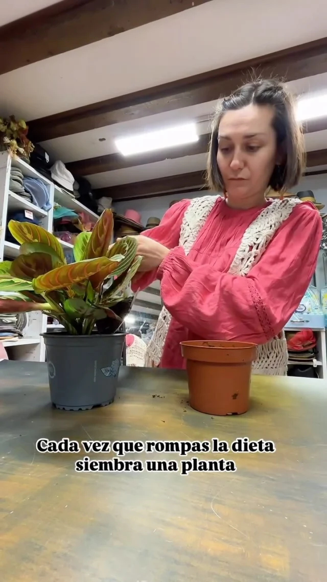 Como amamos demasiado las plantas no pasa nada 🌿💚