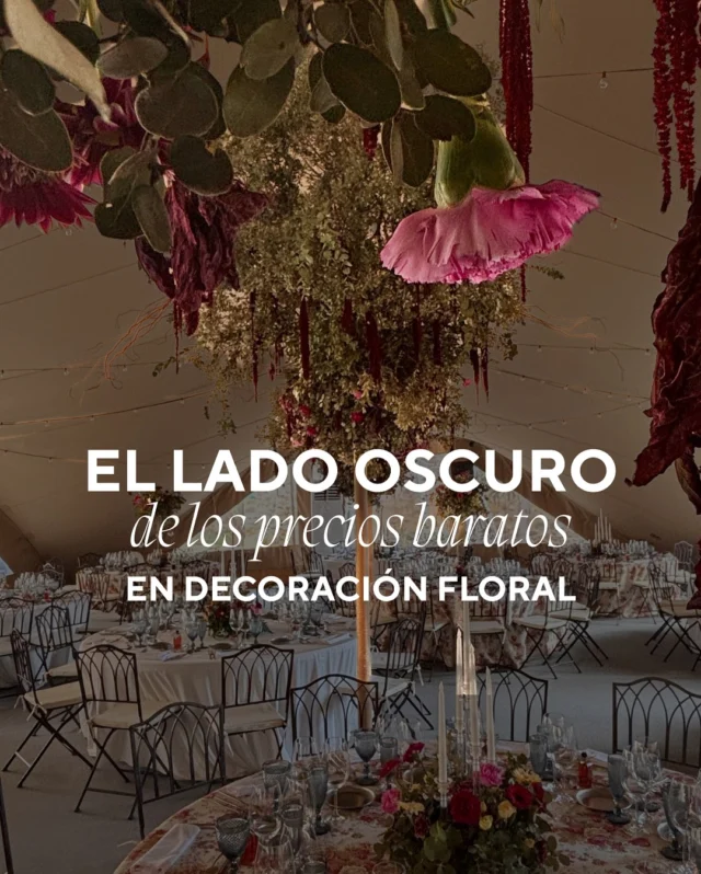 La decoración floral es mucho más que flores bonitas 🌸
Es planificación, experiencia y dedicación.

Cuando eliges lo más barato renuncias a la tranquilidad y al detalle que hacen único tu gran día 💍

En Floristria Matres cuidamos cada detalle para que tu boda luzca espectacular, sin estrés ni sorpresas de última hora.

Tu gran día merece manos expertas 🤍

Ya estamos empezando a coger reservas para las bodas del 2026, escríbenos si quieres más información 🫶

Tu floristería de confianza en Soria, especializadas en bodas y eventos 🤍

Vosotras que preferís, ¿precios baratos e incertidumbre o un precio mayor y tranquilidad?