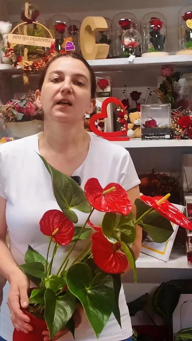 Somos floristas y hay cosas que nunca sabremos si no nos las decís 😂