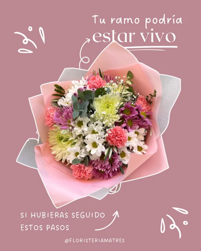 No hay nada como llenar tu hogar con flores frescas y plantas que den vida a cada rincón 🌸

Desde ramos de novia únicos hasta arreglos florales para bodas, eventos o simplemente para alegrar tu casa, cuidamos cada detalle para que la belleza natural dure más tiempo 🥰

Si estás en Soria o alrededores y te apasiona el mundo de las flores, los ramos personalizados o las plantas de interior, aquí encontrarás inspiración y consejos para que tus flores luzcan siempre radiantes ✨

Síguenos y descubre cómo transformar tu espacio con el poder de lo floral 🤍🌺